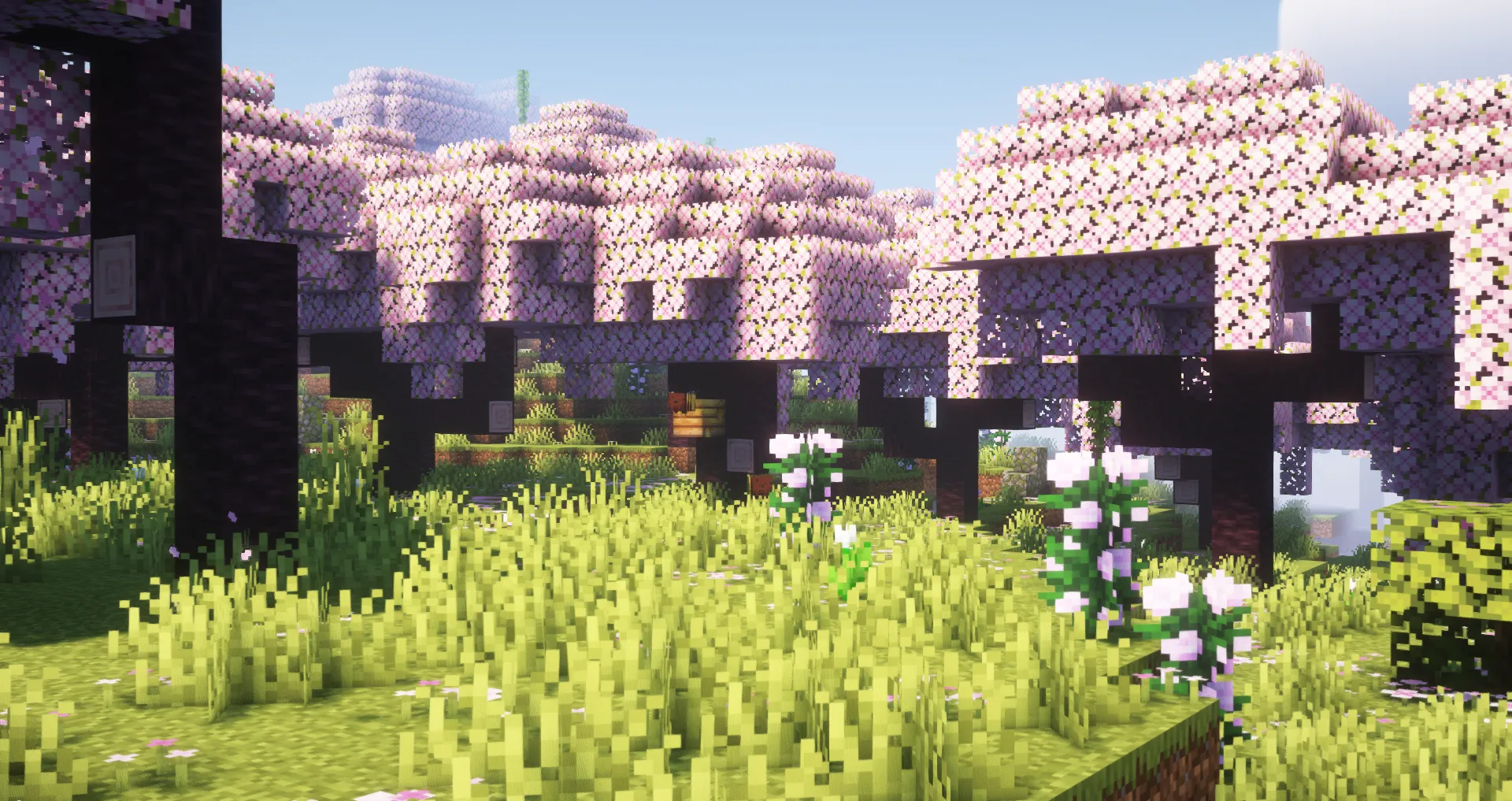 The beautiful minecraft cherry forest